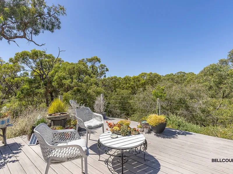 Sea change AND tree change