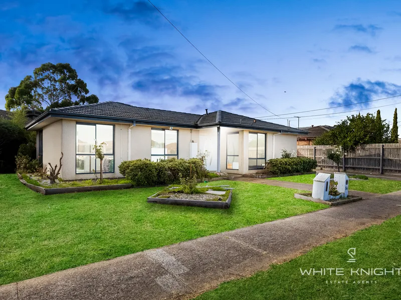 Packed with Potential On 708M2