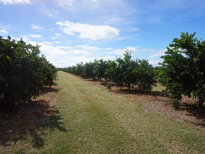 105 ACRES OF DIVERSIFIED FARMING