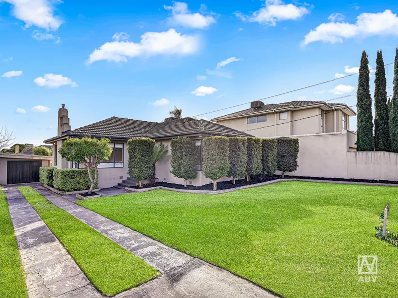 SUN FILLED FAMILY DELIGHT