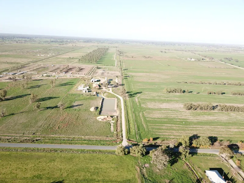 Irrigated Free Range Production