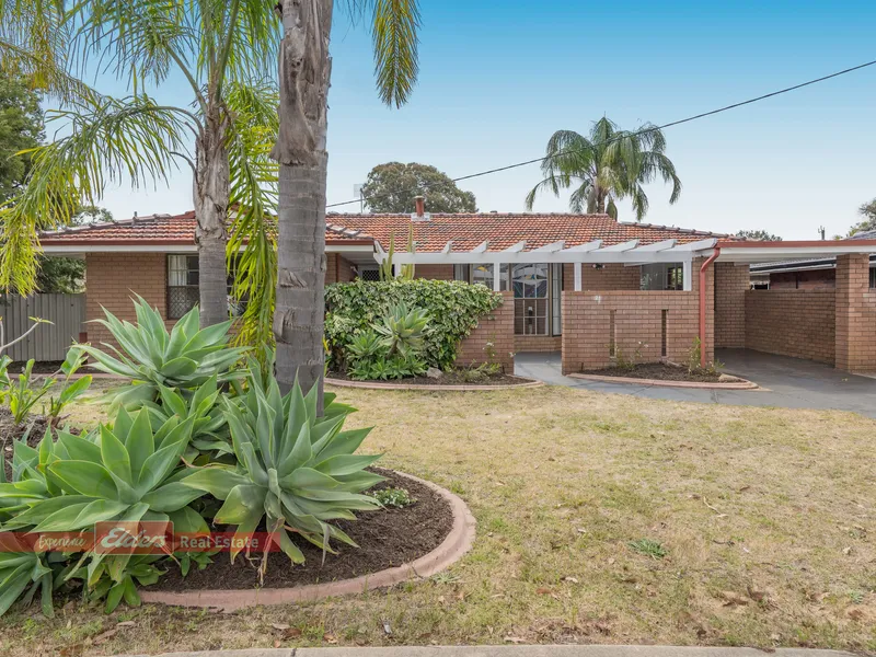 Immaculately Renovated – Ready in Thornlie