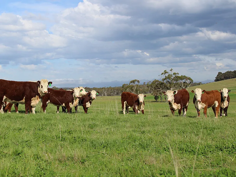 Biodiversity at its Finest!