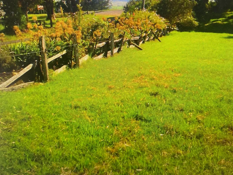 Beautiful Quaint Tilba Acres