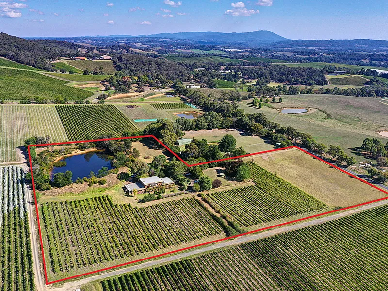 'Maddens Lane Winery'