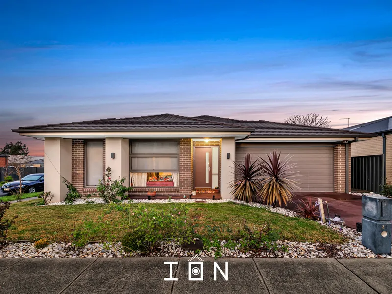 Lovely in Livingstone