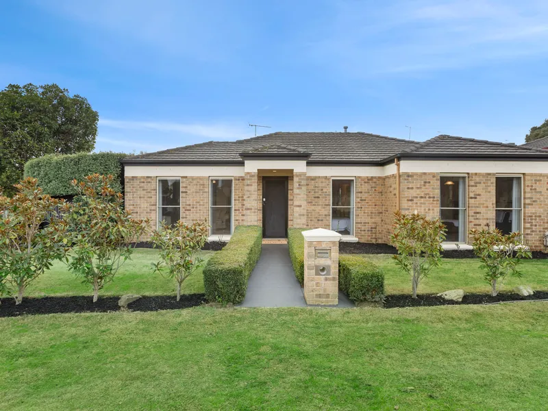 Stop looking, this is the one!