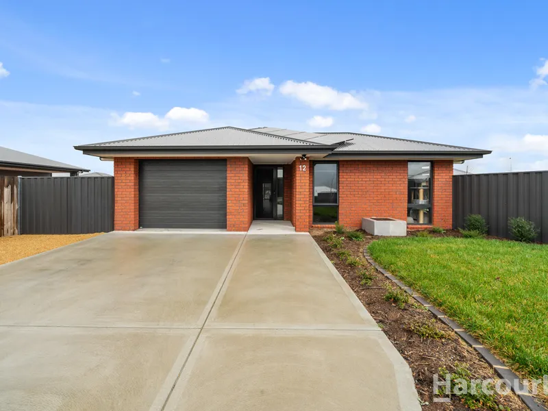 Entertainer's Delight!