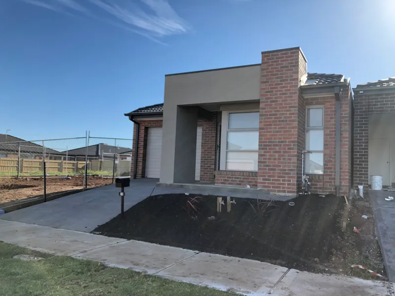 Cozy Comfy Contemporary