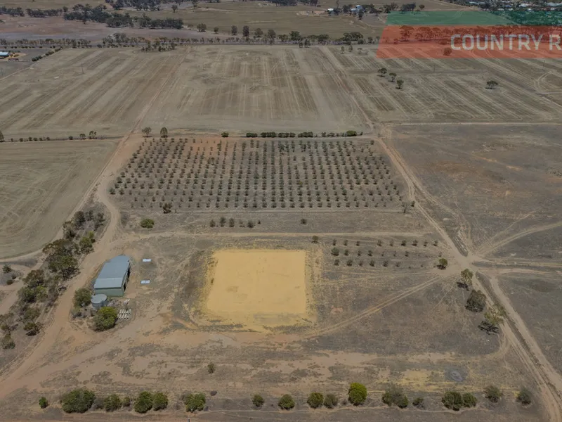 GREAT POTENTIAL HERE!