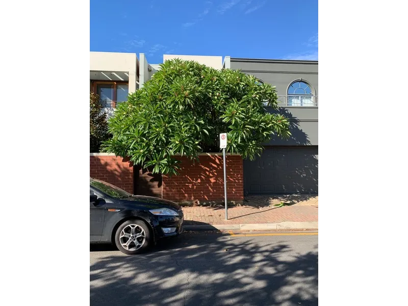 2 Bedroom Townhouse in Norwood