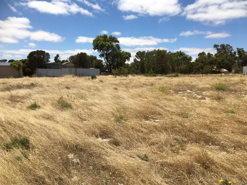 Scarce Vacant block in Sheringa