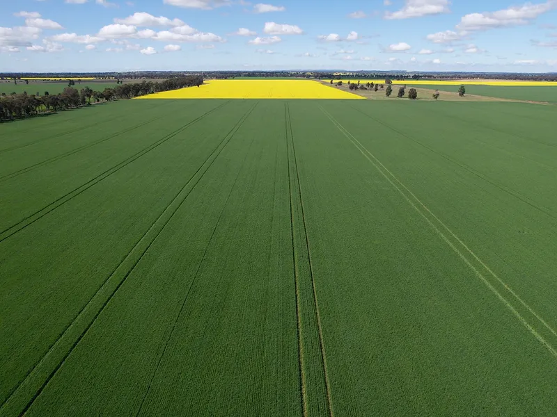 Riverina Cropping and Grazing Offering Genuine Scale
