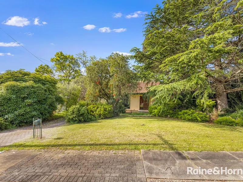 Excellent Opportunity in Elizabeth Park