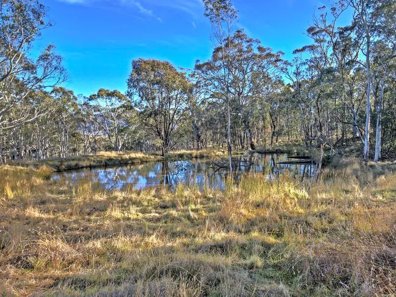 Your own high country bush block.