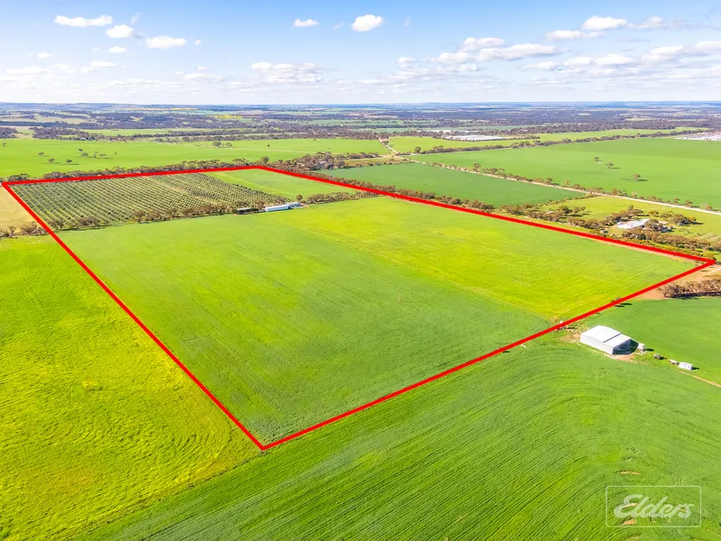 Copious Room for Living and Lifestyle– 33.9Ha (84 Acres)