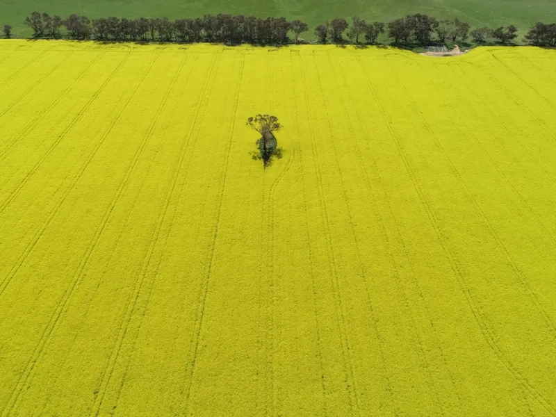 Speckton & The Estate