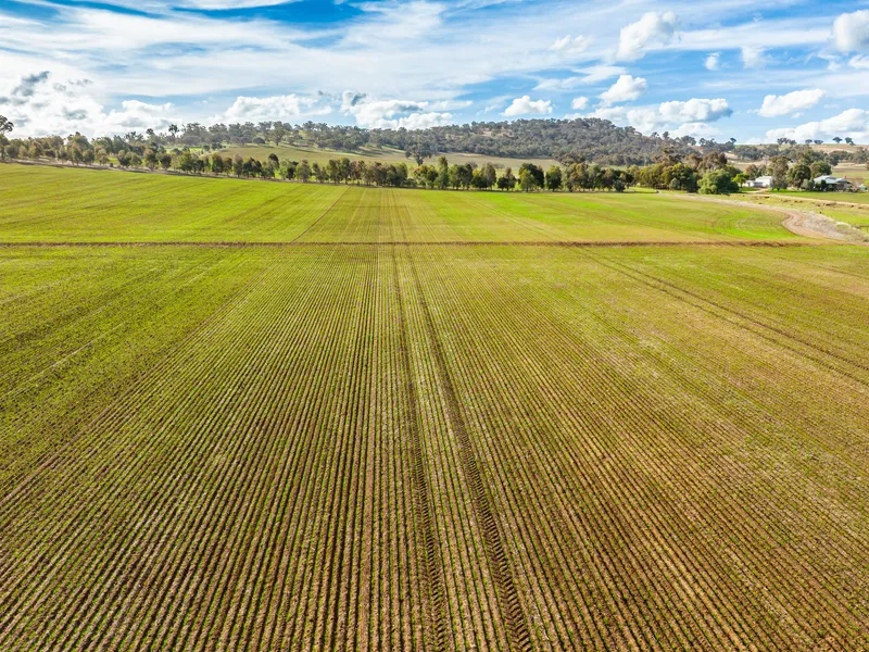 Walbundrie - 117Ha - 289 acres