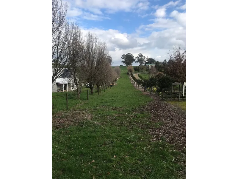 Beautiful elevated acreage block with views and treelined driveway. 8460m2!