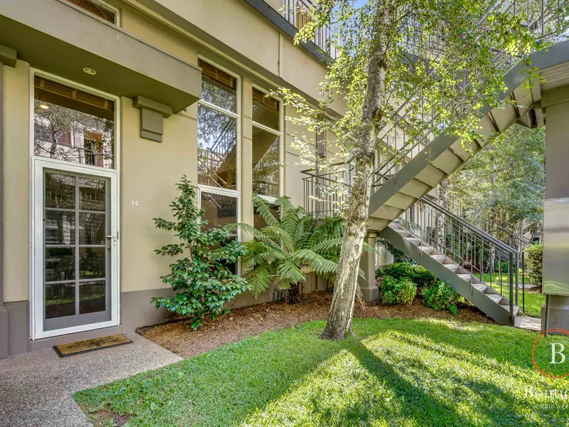 Stunning inner-city oasis!