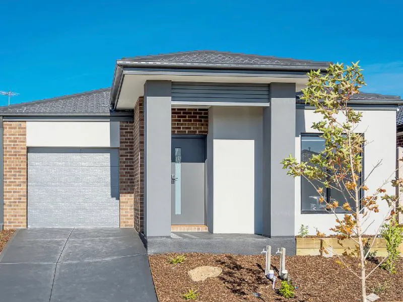 Contemporary Comfort