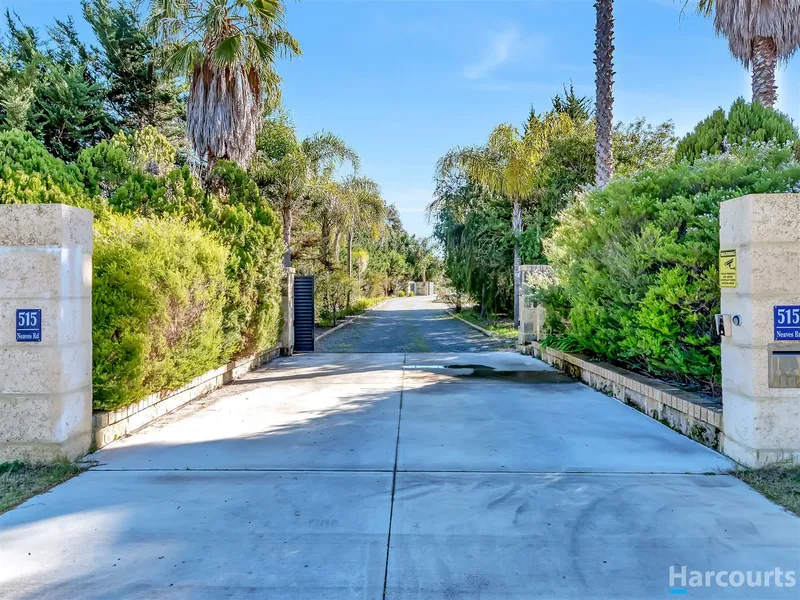 Don't Dream, Live the Holiday Life!