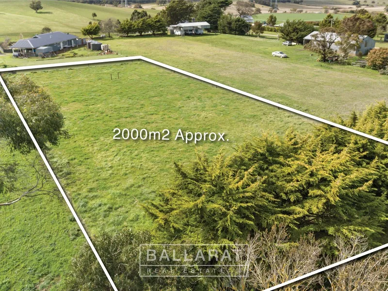 HALF ACRE ALLOTMENT IN PRIME LOCATION