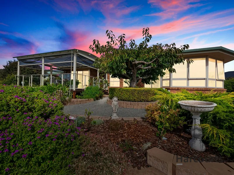 One owner Paradise...