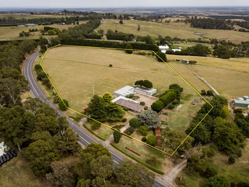 Immaculate 12 Acres