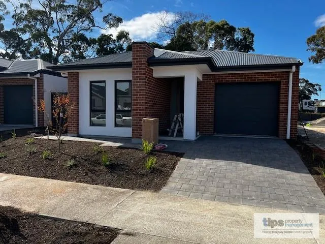 Brand New 3 Bedroom Home in Great Location