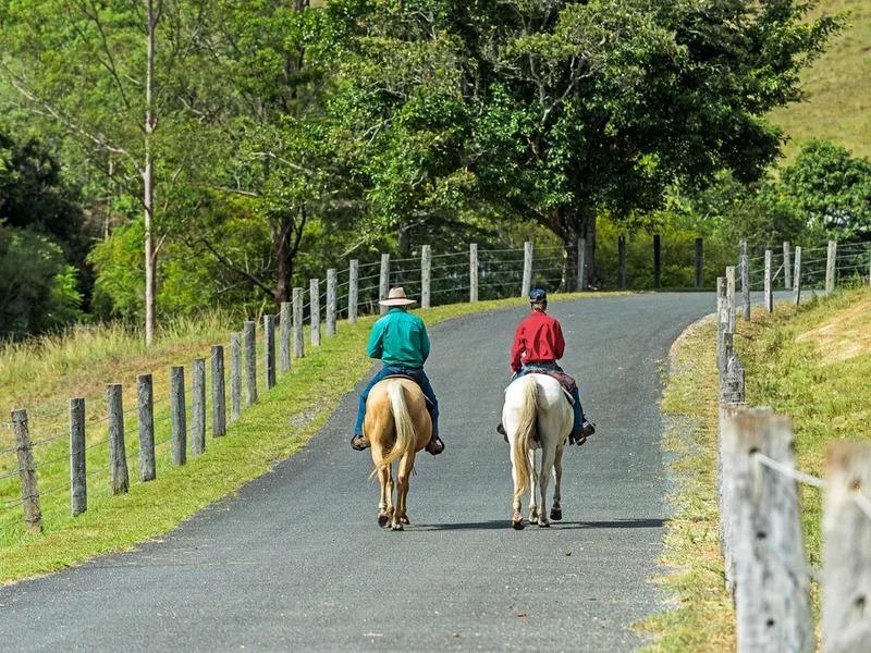 Armstrong Rise Estate - Freedom to create your own country lifestyle!