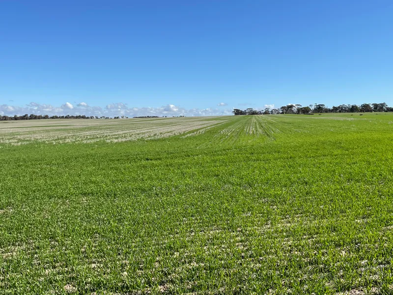 Add on Block or Rural Investment, 10 Freehold Titles