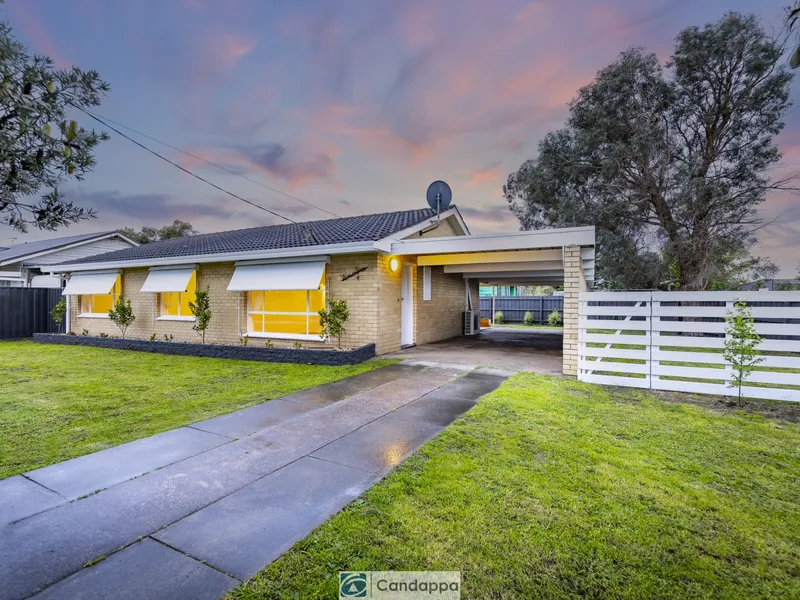 Restored & Revamped !!!