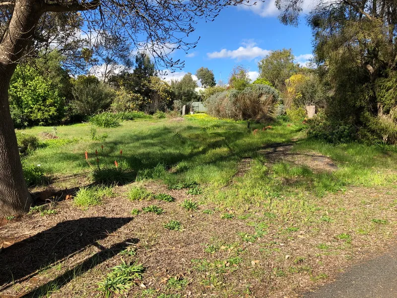 Rare North Facing Town Block!