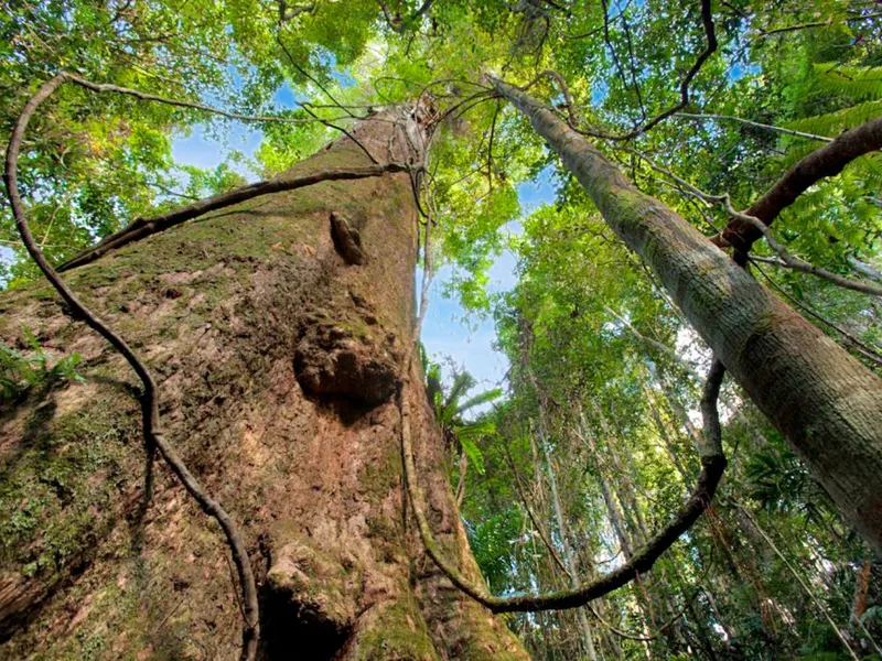 Conserve The Natural Environment or Market Your Bio-Offset Credits...