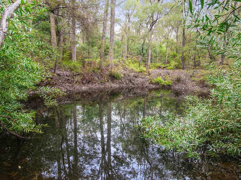 A UNIQUE TRANQUIL BUSHLAND PROPERTY - 87 ACRES 
