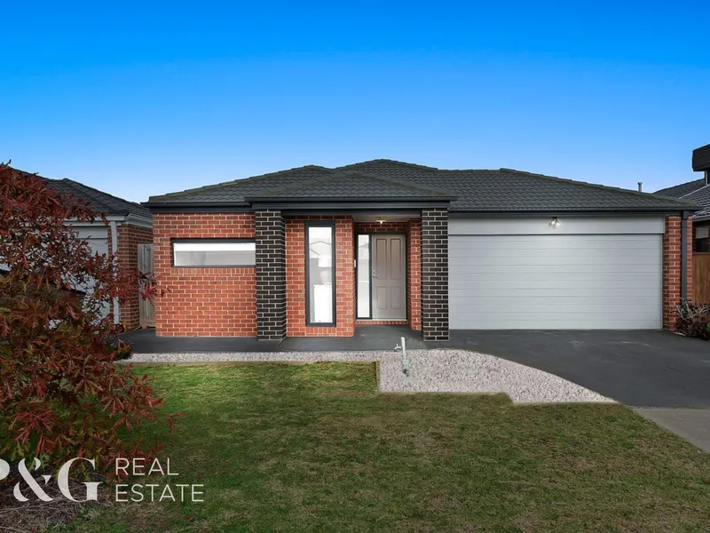 Stylish Modern Family Comfort on Skylark!