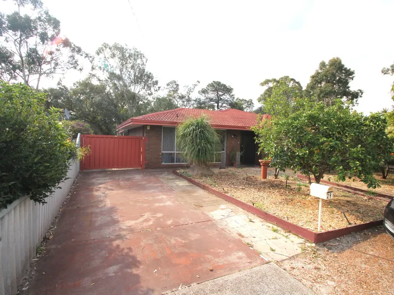 3x1 Large Shed and Side Access