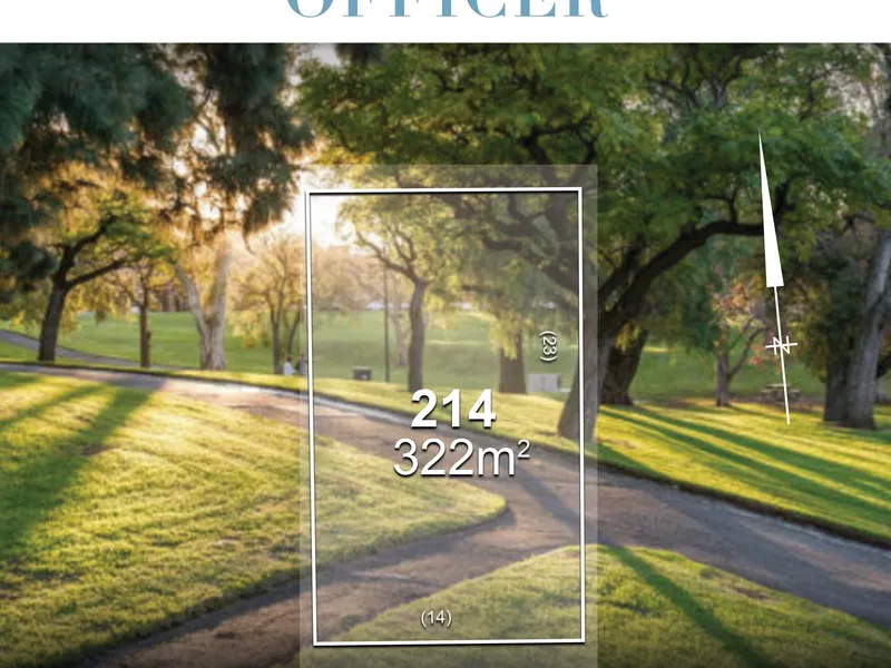 The Investment You Are Looking For Your Family