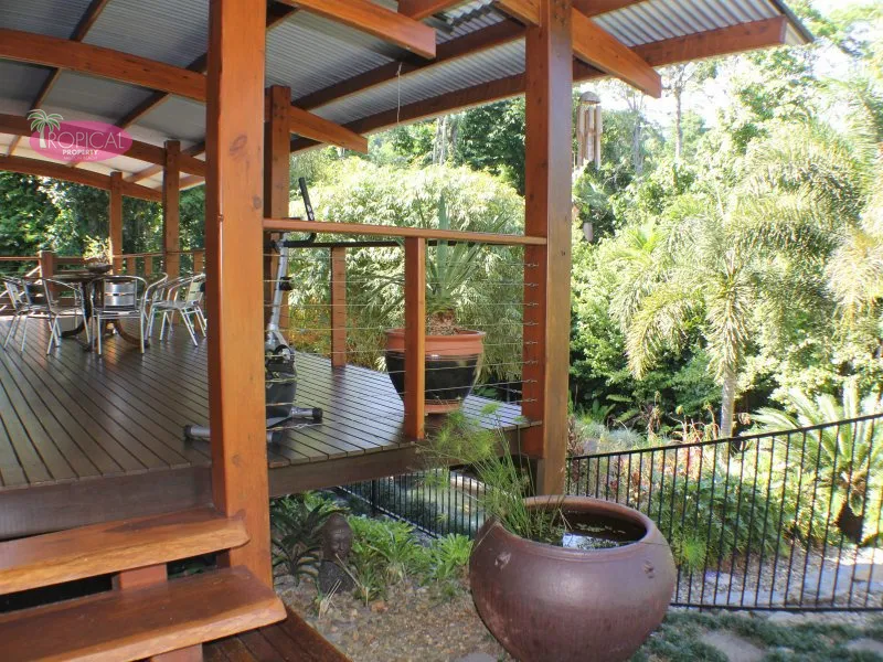 Your Rainforest Dream Home !