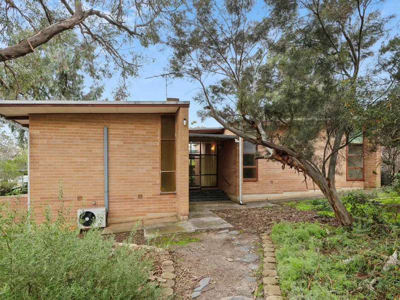 1964 Contemporary ... on a rare 1,010sqm parcel of land - approx 31 metre frontage!