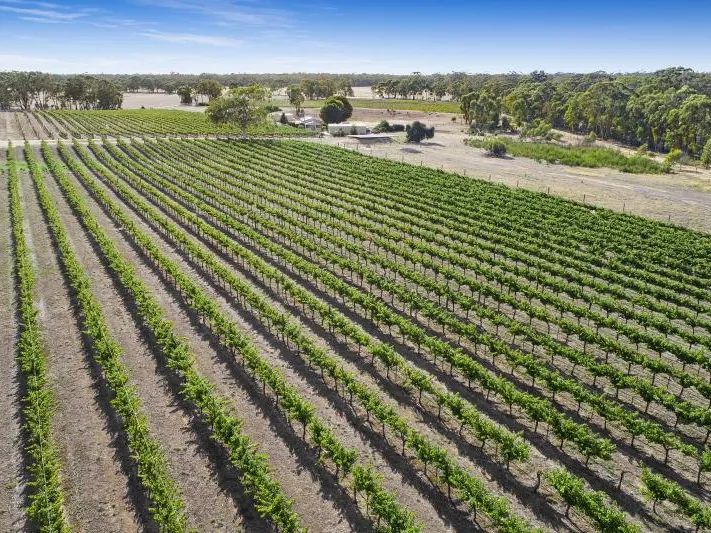 Stunning Central Victorian Vineyard Estate  Moonlight Estate