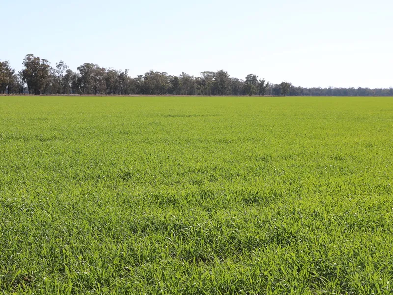 Excellent Mixed Farming Opportunity