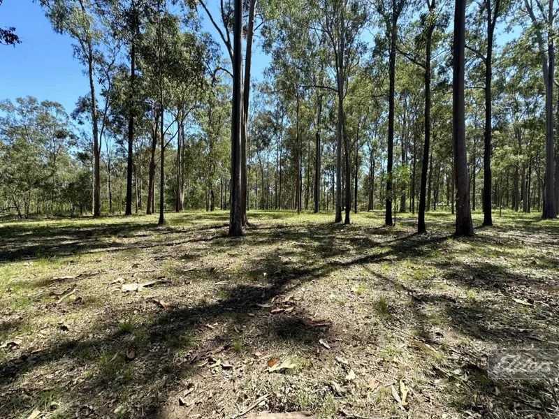 PEACEFUL SURROUNDS WITH LARGE NATIVES GALORE!