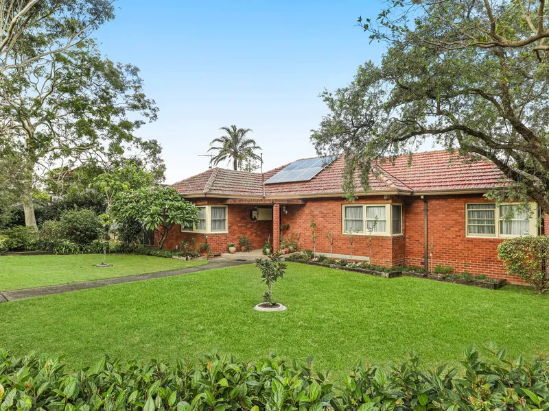 North-facing home capitalises on a corner block