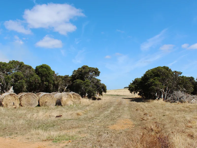 Grazing property situated in high rainfall region