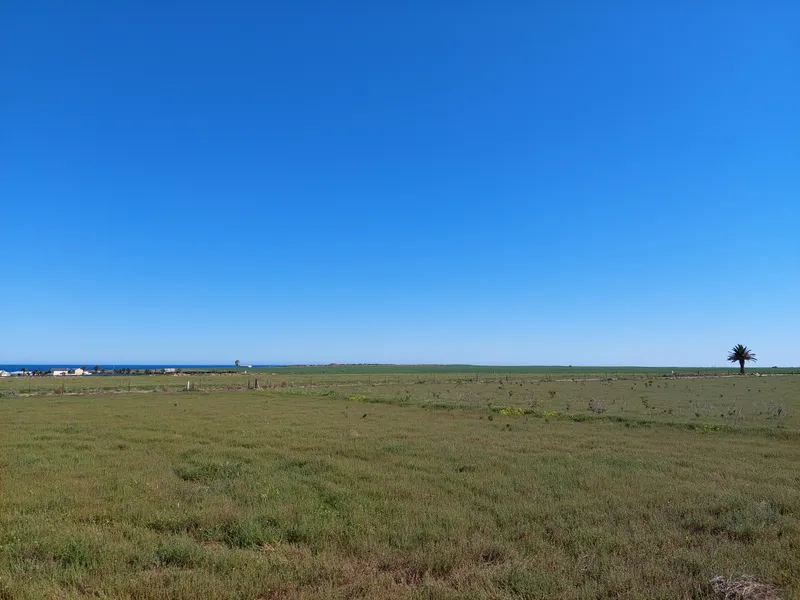 Living off the Grid close to town