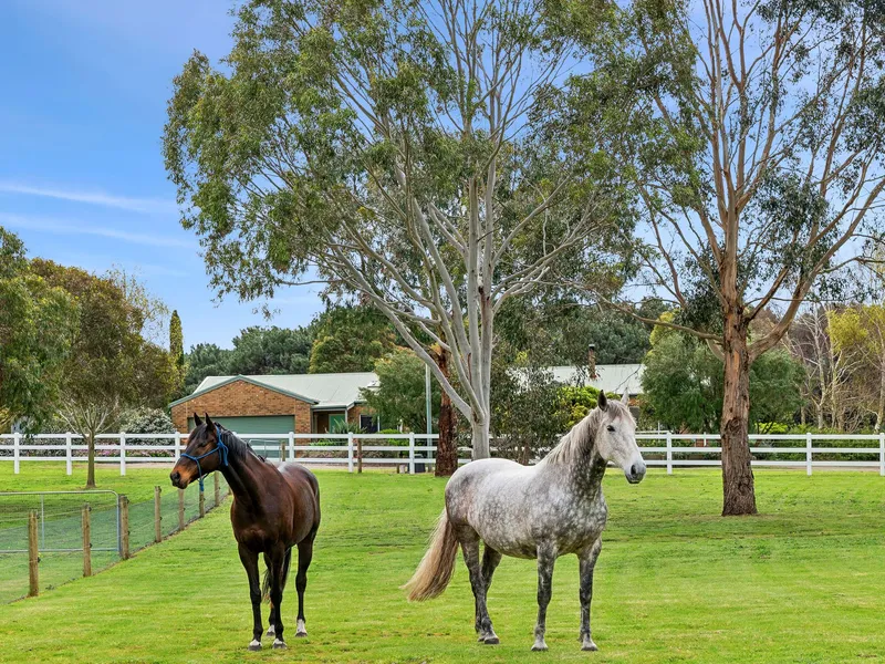 Make Your Rural Dreams a Reality