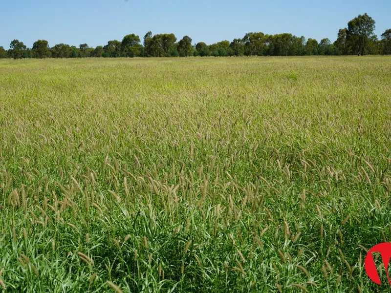 High Performing Property Offering Real Diversity In Livestock Production