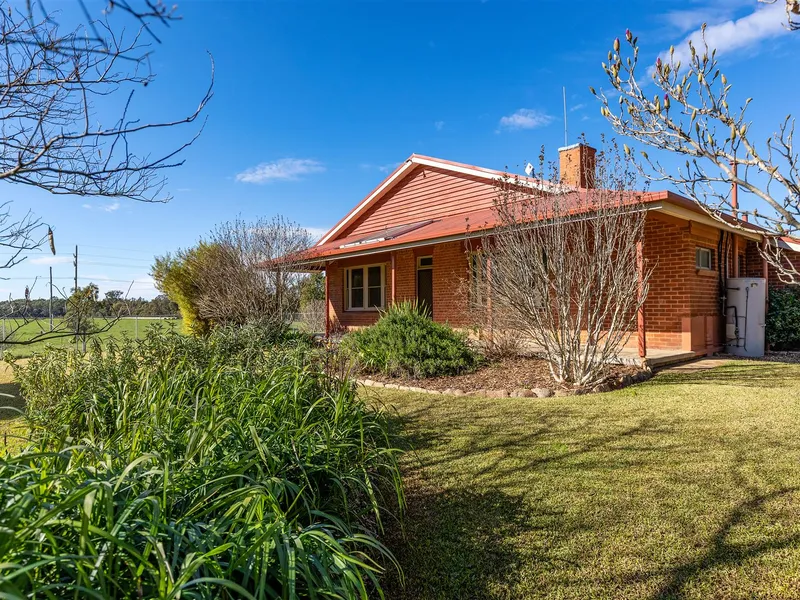 Homestead in private setting with fabulous access to Wagga